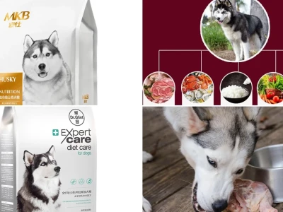 Thức ăn cho chó Husky Dinh dưỡng Toàn diện cho Sức khỏe Tối ưu
