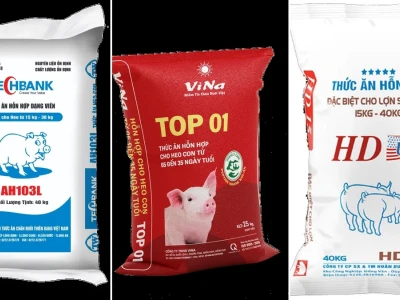 Thức ăn cho Lợn Bản (Lợn Đen) Nuôi Dưỡng Hiệu Quả 2026