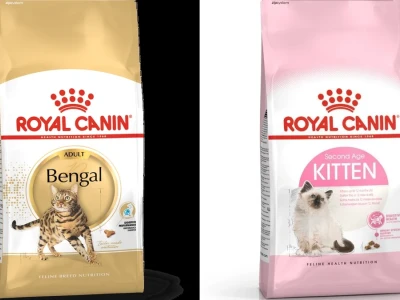 Thức ăn cho mèo Bengal Bí quyết chăm sóc từ chuyên gia
