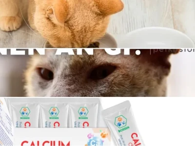 Thức ăn cho mèo Giảm bạch cầu (Care) Dinh dưỡng phục hồi