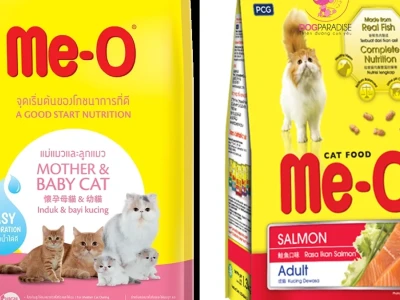 Thức ăn cho mèo mẹ sau sinh: Bí quyết phục hồi và lợi sữa