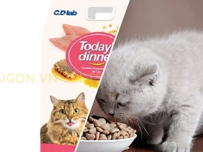 Thức ăn cho mèo Tam thể Tất tần tật Cẩm nang Nuôi dưỡng Chuyên sâu