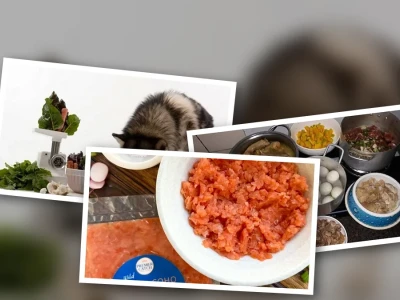 Thực đơn Raw Food cho Alaska Dinh dưỡng Tối ưu