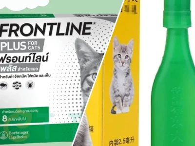 Thuốc nhỏ gáy trị rận mèo Giải pháp An toàn và Hiệu quả