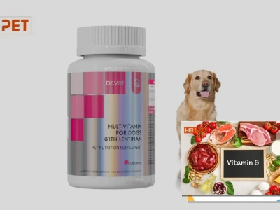 Vitamin Cho Chó Những Điều Cần Biết Để Tối Ưu Sức Khỏe