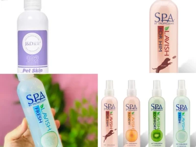 Xịt Dưỡng Lông Mèo Bí Quyết Giữ Bộ Lông Óng Mượt